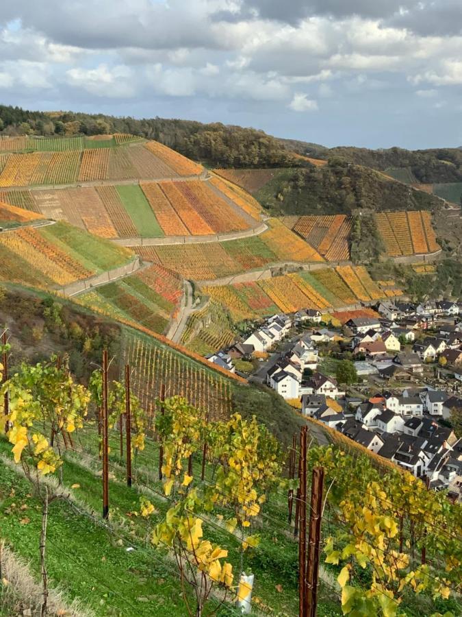Rheinvilla Arte Remagen Εξωτερικό φωτογραφία